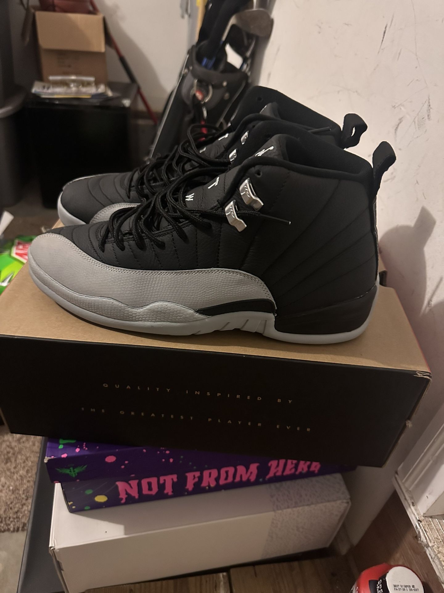 Jordan 12s