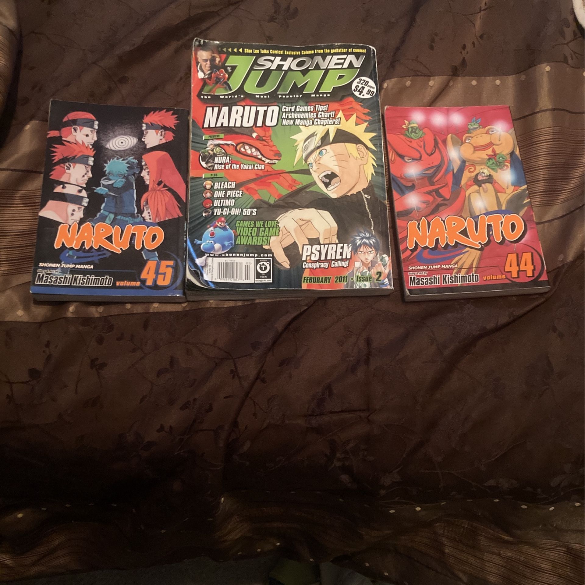 Naruto Manga