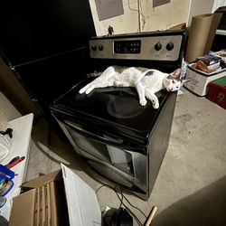 Flat Top Electric Oven  