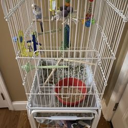 Bird And Cage