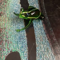 Murano Glass Frogs