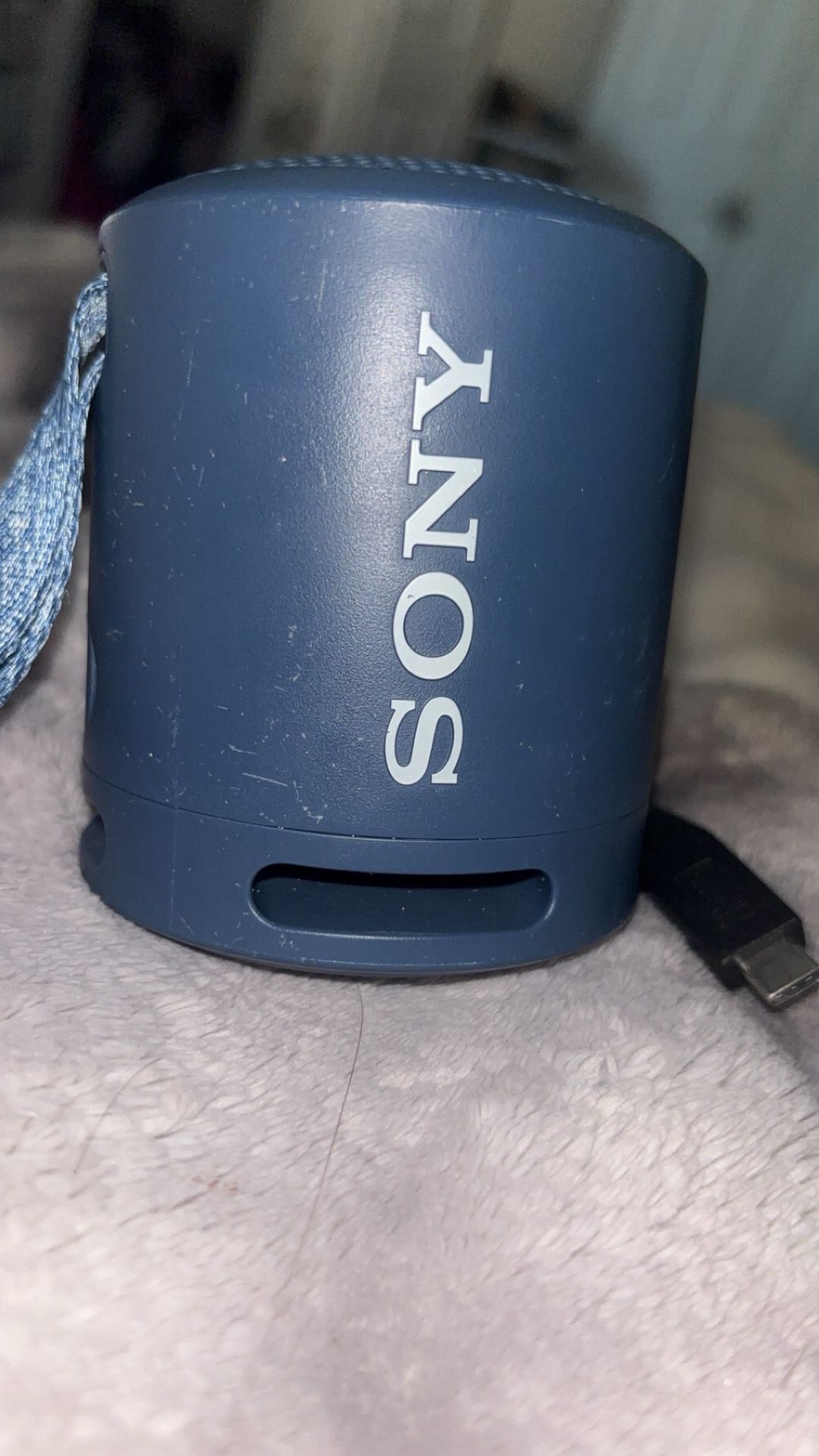 Sony Portable Waterproof Speaker