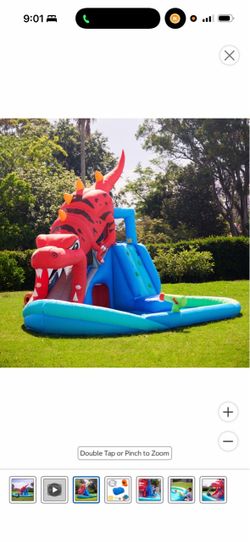 Inflatable Dragon Water Slide with Pool