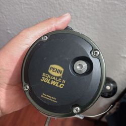 Penn SQUALL 2 Level Wind With Line Counter