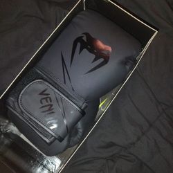 14oz Venum Gloves