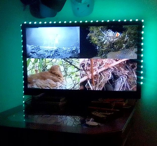 Black 32 Inch FUNAI TV