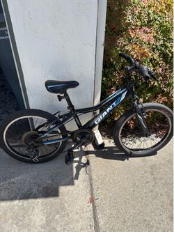 20 in Kids Giant bike