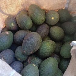 Avacados