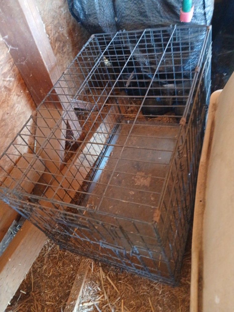 Dog Kennel, Crate