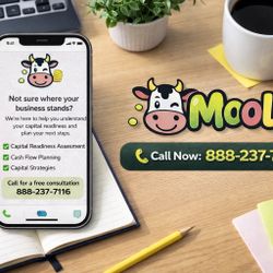 Business Credit & Financial Readiness for Owners