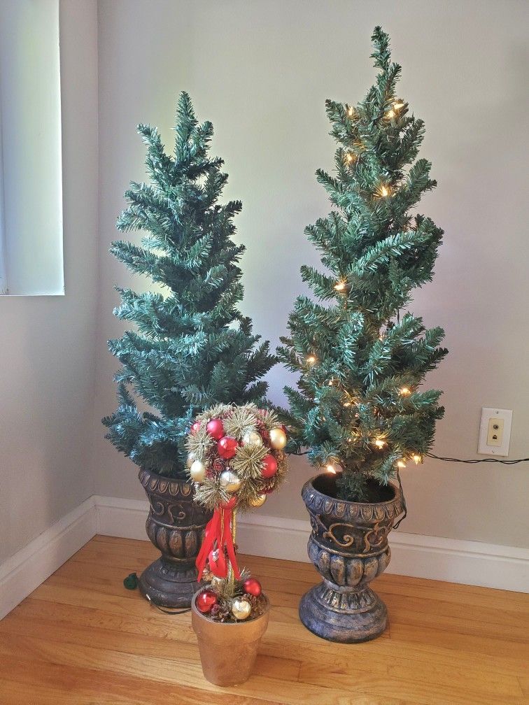 2 Christmas Trees & 1 Topiary
