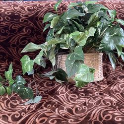 Ivy Artificial Plant With Wicker Basket
