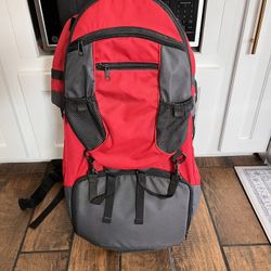Baby Hiking/Walking Backpack 