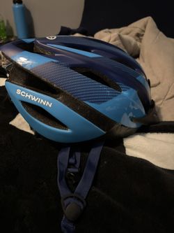 schwinn helmet
