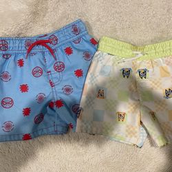 Swim Trunks 2T