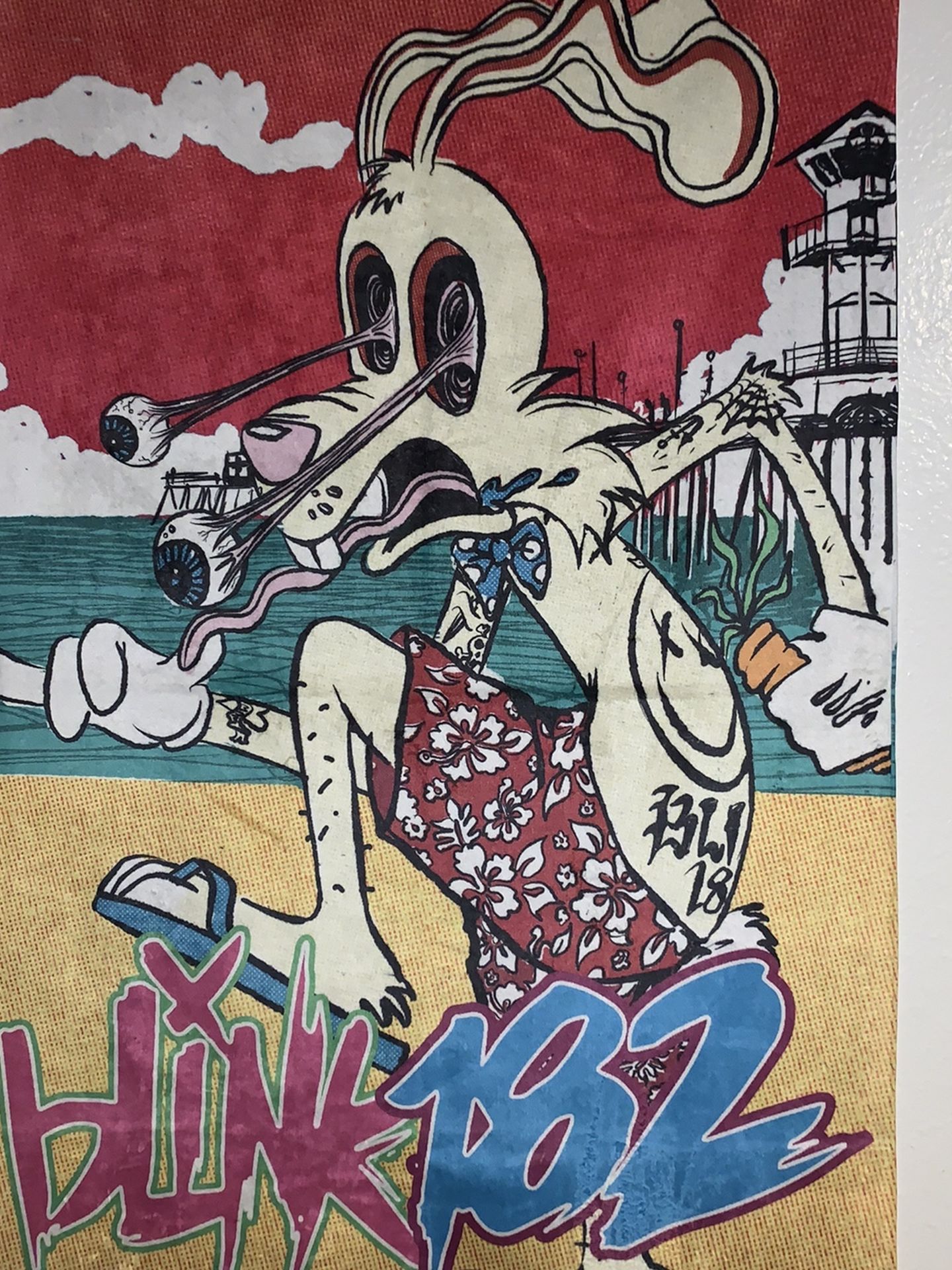 Blink 182 Poster/Tapestry from the Back To The Beach Festival