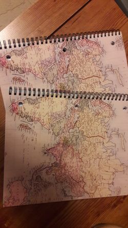 2 - New College ruled spirals for $5