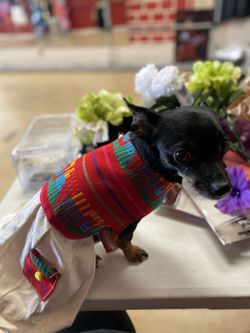 Mexican Dog Dresses