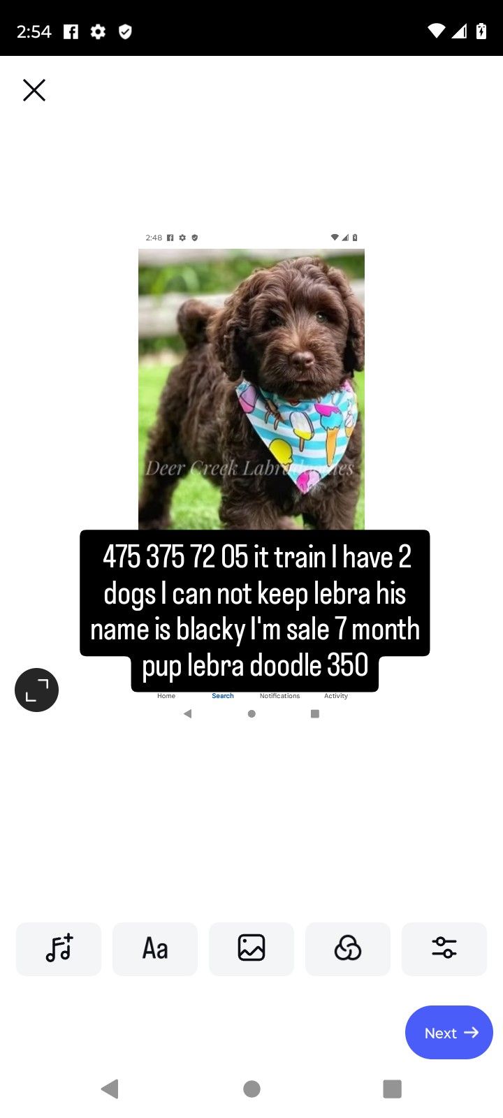 06451
