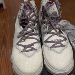 lebron xix (purple and white)