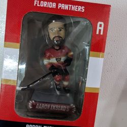 Florida Panthers 