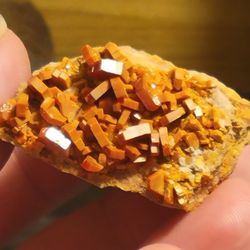 Rare Mineral Specimen Red Vanadinite Hexagonal Crystals in Matrix. from Morocco.