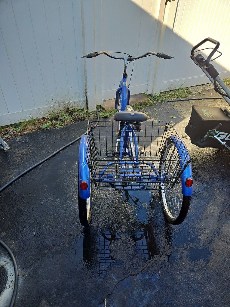 Blue Schwinn Meridian