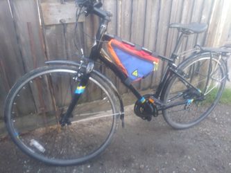 Diamond Back InSight