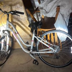 Trek Bike 