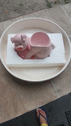 Pig Dip tray