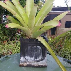 Rustic Fiberglass Planter With Drainage