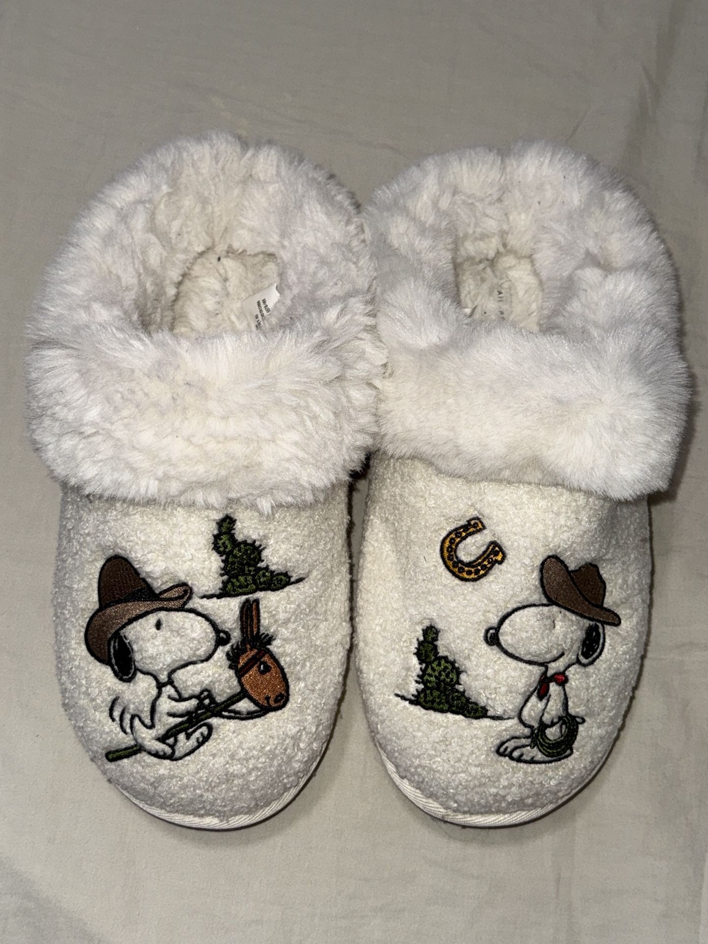 American Eagle Snoopy Western Slippers