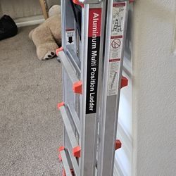 Aluminum Ladder 