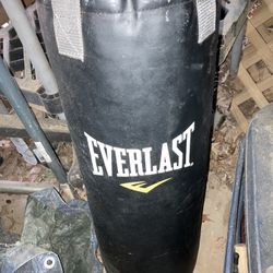 Punching Bag 50lbs Everlast With Pair Of Gloves