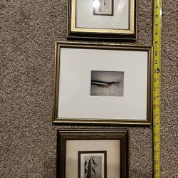 Small Prints Gold Frames
