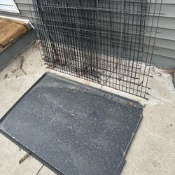 Dog Kennel 