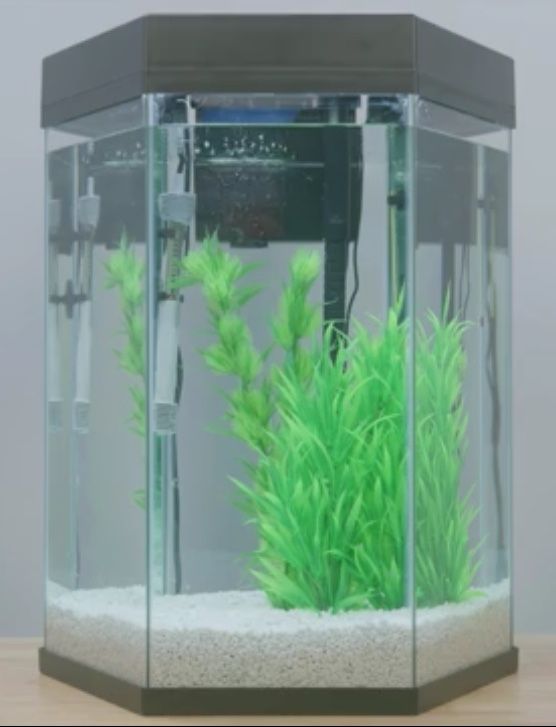 Hexagon Aquarium 20 gallon
