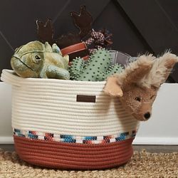 Dog Bed And Basket Duo $60 Set
