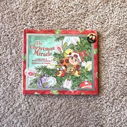SHAOEY AND DOT: THE CHRISTMAS MIRACLE By Mary Beth & Steven Curtis Chapman—nice Christmas book