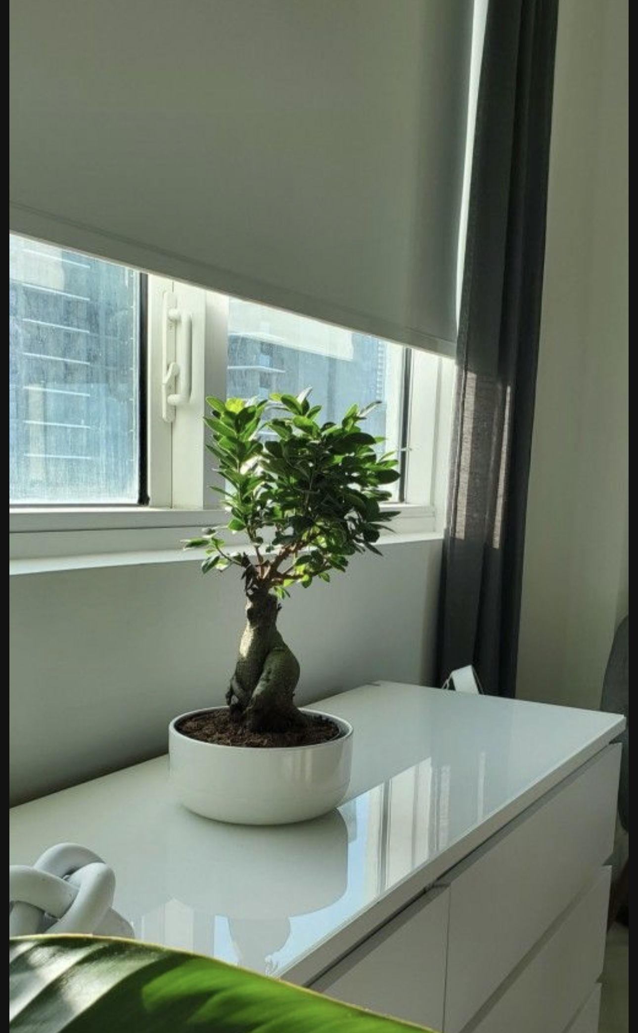 Electric Blinds White 7ft And 10ft