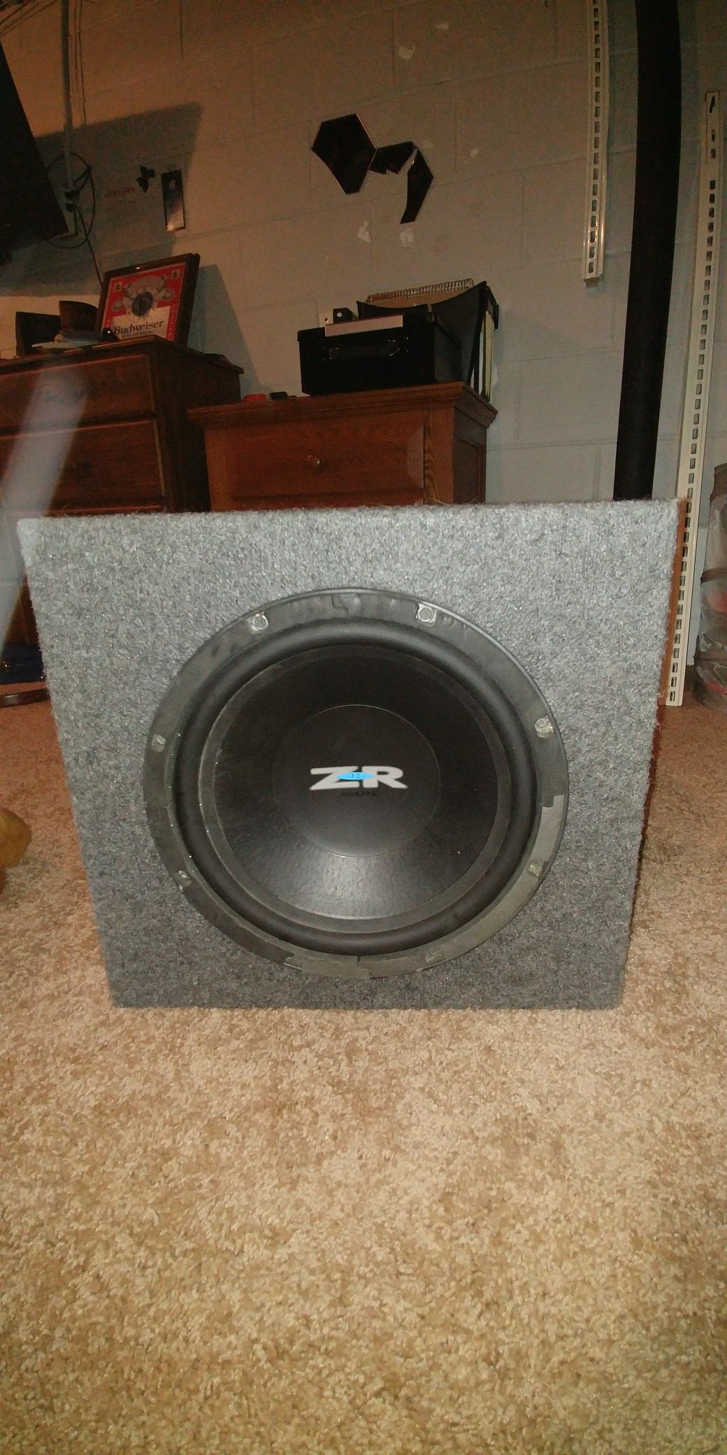 Alpine ZR 10 inch sub great condition box