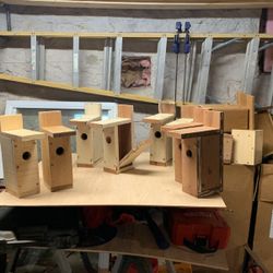 Birdhouses