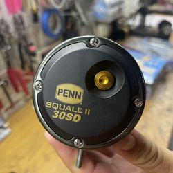 Penn Squall 30SD