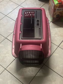 -Pet Carrier-