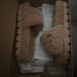 Ugg Slipper 
