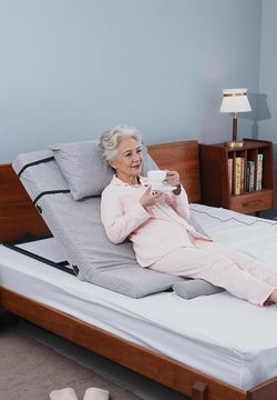 Electric Bed Backrest Riser Brand New