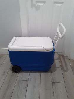 Cooler 48 Qts