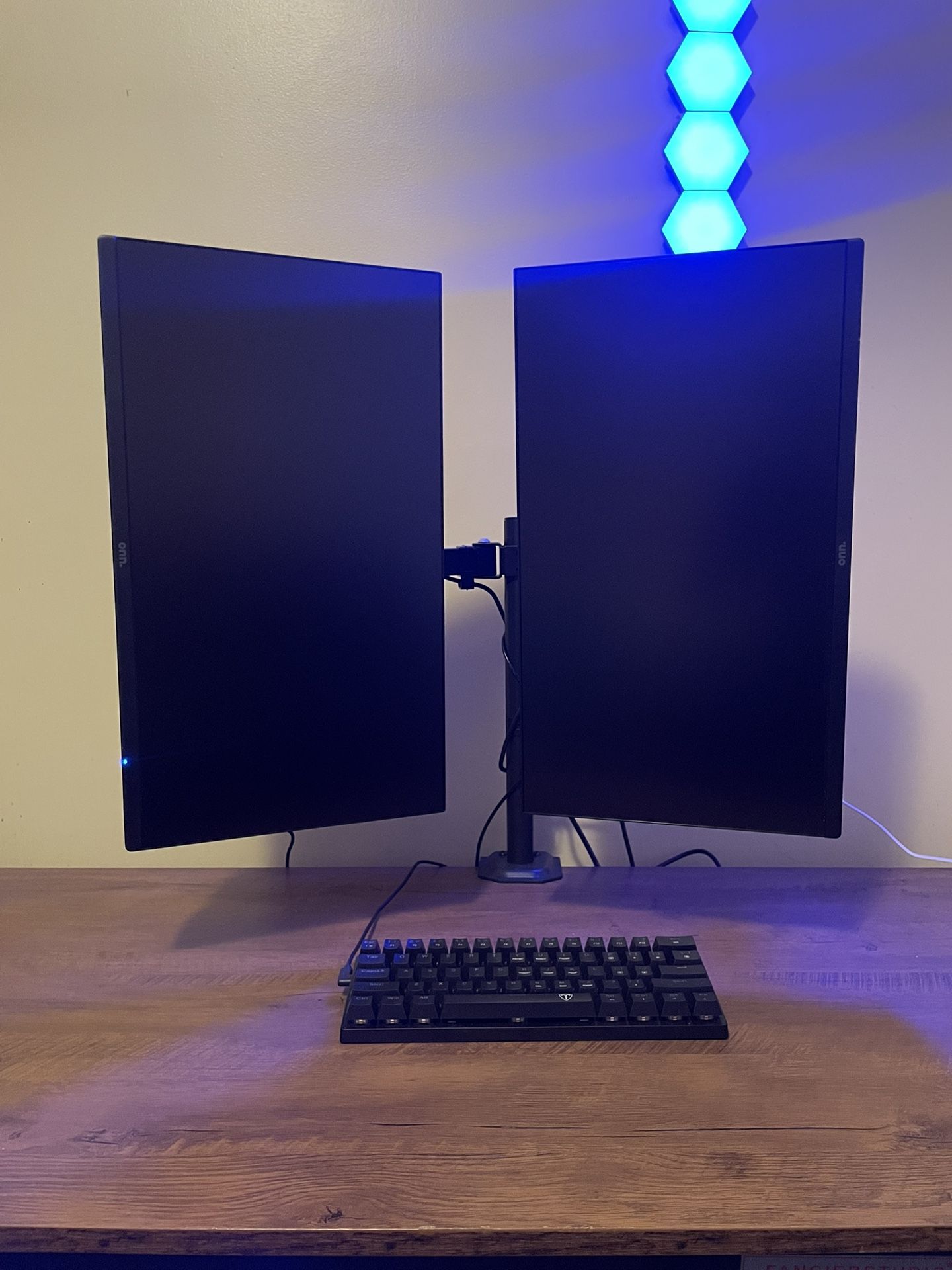 ONN FHD 22” Monitors (2x) and Hang Onn Dual Monitor Mount