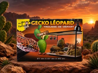 10 gallons  reptile tank kit ( brand new)