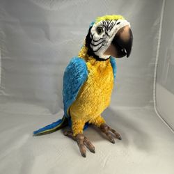 Hasbro Furreal Friends Squawkers McCaw Parrot